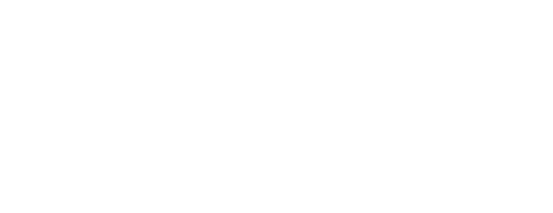 Mantis Beyond Innovation white logo